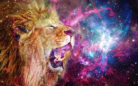 Lion space :3 by SrMelon on DeviantArt