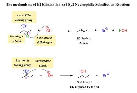 The E2 Reaction Mechanism