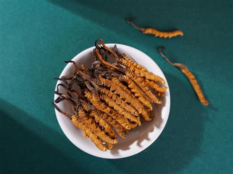 Chinese Caterpillar Fungus | Colorful Yunnan