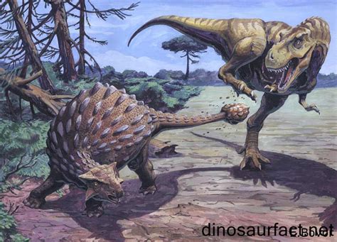 Ankylosaurus dinosaur