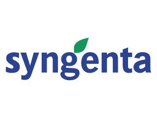 Vector Logo Syngenta CDR, PNG Format - Biologizone