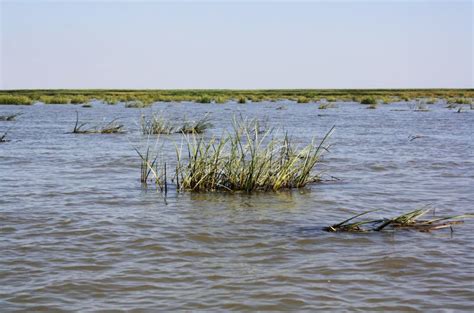 546 Volga River Delta Stock Photos - Free & Royalty-Free Stock Photos ...