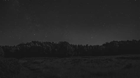 Forest Starry Night Monochrome Wallpaper, HD Nature 4K Wallpapers ...