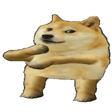 Katarakt Aktiv Oxidieren doge meme generator Sekretär heilig Katastrophal