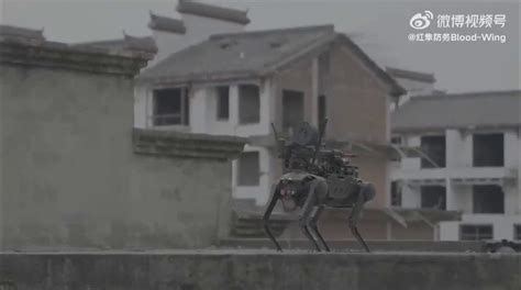 Shocking video shows Chinese robot attack dog with machine gun dropped ...