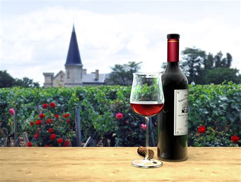 French Wine Regions: Quick Guide to Four of the Most Famous | La Jolla Mom