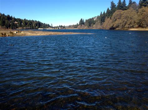 Lake Gregory Regional Park – Crestline, California | Brian's hikes