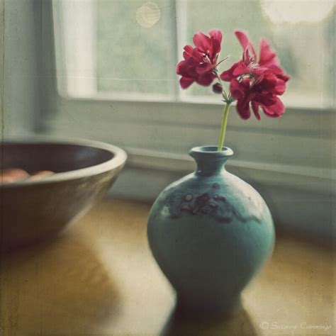 35 Superb Examples of Still Life Photography