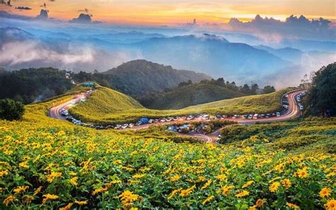 Thung Bua Tong Fields at Doi Mae U Kho, Mae Hong Son - Thai Holidays