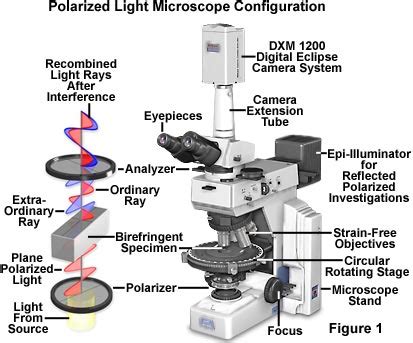 BW OPTICS