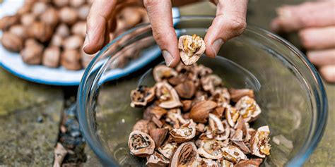 Shell Pecans Easily Using These 4 Different Steps | Pecan Nation