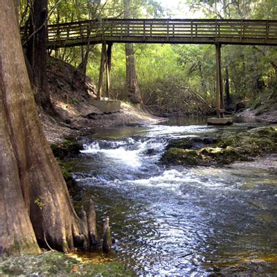 Camping Suwannee River State Park in North Florida - 50 Campfires