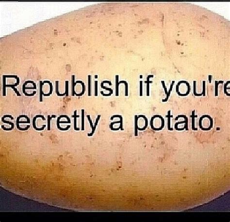 Funny Quotes About Potatoes. QuotesGram