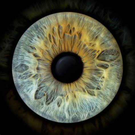 Eye am art - eye am you - agentur-lumens Webseite! | Eyeball art, Iris ...