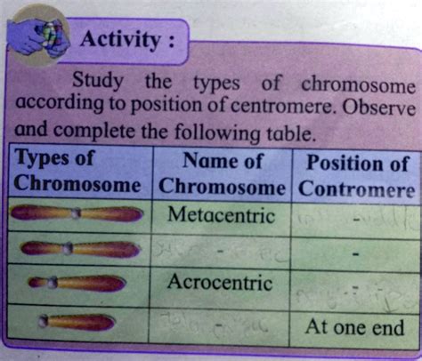 SOLVED: Activity: Study the types of chromosomes according to the ...