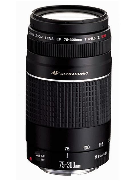 Canon EF 75-300mm f/4-5.6 III USM Lens