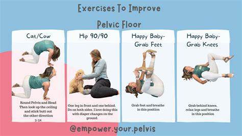 Top 4 Daily Pelvic Floor Exercises to Relieve Pain and Improve Strength ...