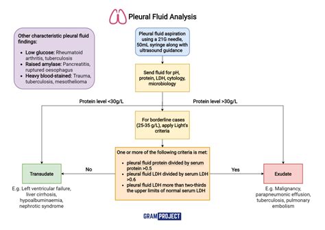 Pleural Fluid Analysis - Gram Project