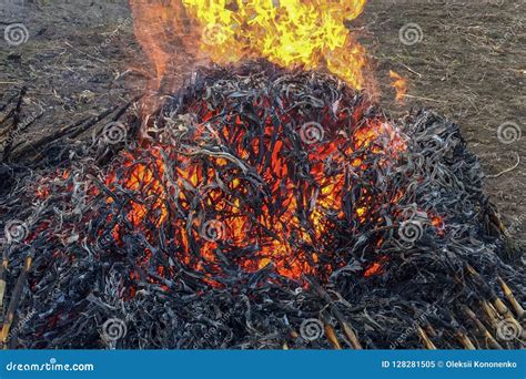 Ash stock image. Image of rushing, light, large, orange - 128281505