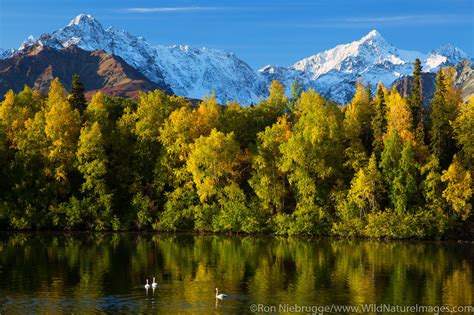 Autumn Reflection | Photos by Ron Niebrugge