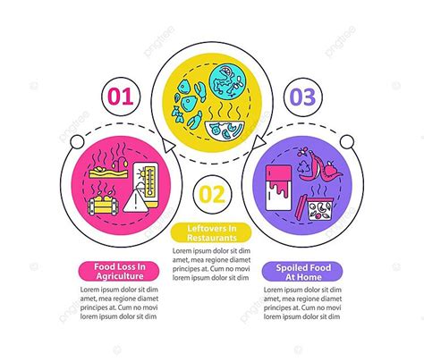 Food Waste Sorts Vector Infographic Template Environment Linear Scheme ...