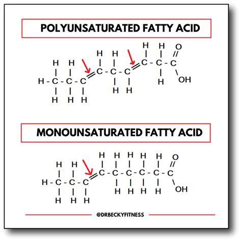 Which Fats are Good and Bad? - Dr Becky Fitness