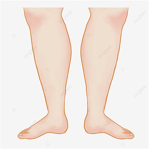 Tone Clipart PNG Images, Skin Tone Fat Legs Clipart, Leg Clipart, Leg ...