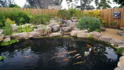 How to Build a Koi Pond | DIY Tips