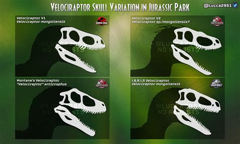 Jurassic park velociraptor skull skeletals | Jurassic Park | Know Your Meme