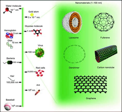 1 Nanoscale sizes compared to other relevant objects. Nanomaterials are ...