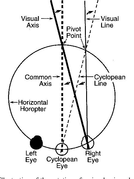 Figure 3 from The cyclopean eye in vision: the new and old data ...