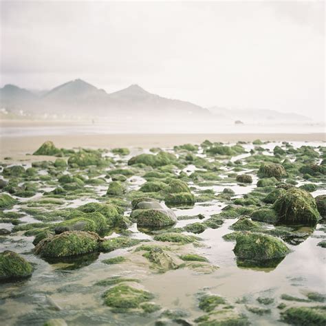 Tidepools at Haystack Rock in Cannon Beach Oregon - Entouriste