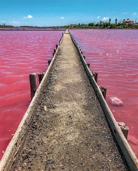 🇵🇷Las Salinas de Cabo Rojo. 📸Adventure b | Puerto rico trip, Puerto ...