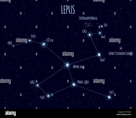 Lepus (The Hare) constellation, vector illustration with the names of ...