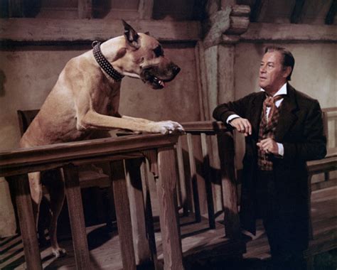 Dr Dolittle 1967