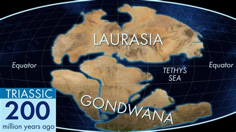 How the Ancient Land Blob Gondwana Became Today's Continents ...