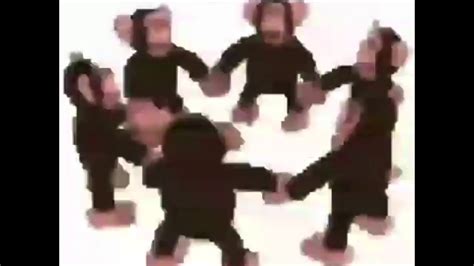 Happy Monkey Circle - YouTube