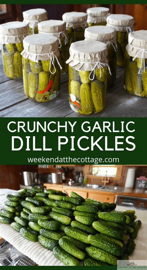 Garlic Dill Pickles Recipe - Weekend at the Cottage | Recipe | Canning ...