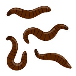 Leech Cartoon Vector Images (over 130)