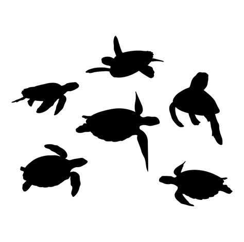 Sea Turtle Silhouette SVG – MasterBundles