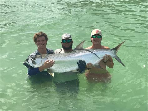 Tarpon Fishing, Clearwater Florida | FishEye Sportfishing