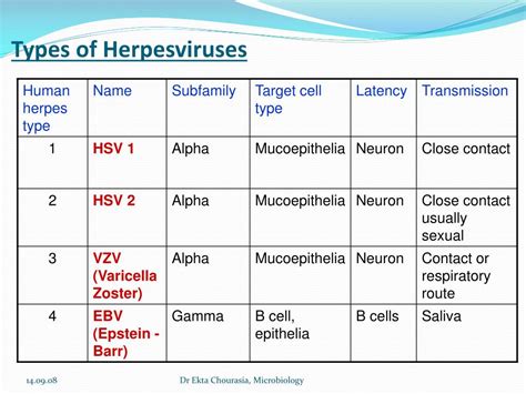 PPT - Herpesviridae Family PowerPoint Presentation, free download - ID ...