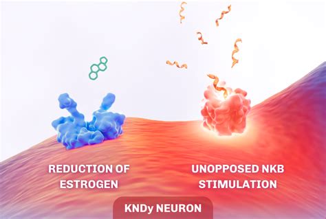 VEOZAH™ (fezolinetant) tablets target a source of VMS | For HCPs