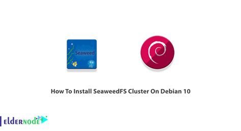 How To Install SeaweedFS Cluster On Debian 10 - Eldernode Blog