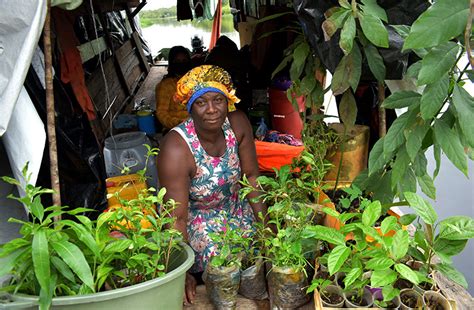 Life in Baracara - Guyana Chronicle