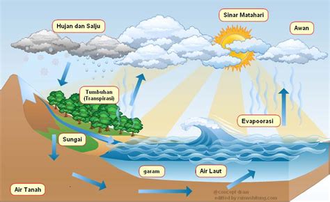 Siklus Air Pengertian Urutan Proses Siklus Hidrologi Dan Gambarnya ...