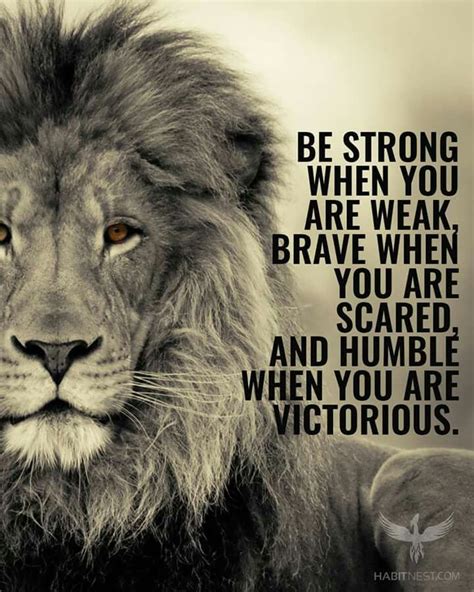 Quotes to Live By | Lion quotes, Fierce quotes, Warrior quotes