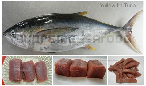 Yellow Fin Tuna ( Soorai / Kerai ) fish available at Supreme Seafood ...