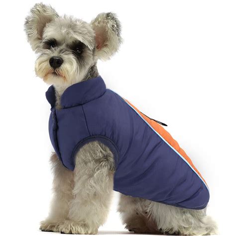 43+ French Bulldog Puffer Jacket Image - Bleumoonproductions