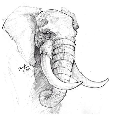 Dibujo Artístico a Lápiz | Animal drawings sketches, Animal sketches ...